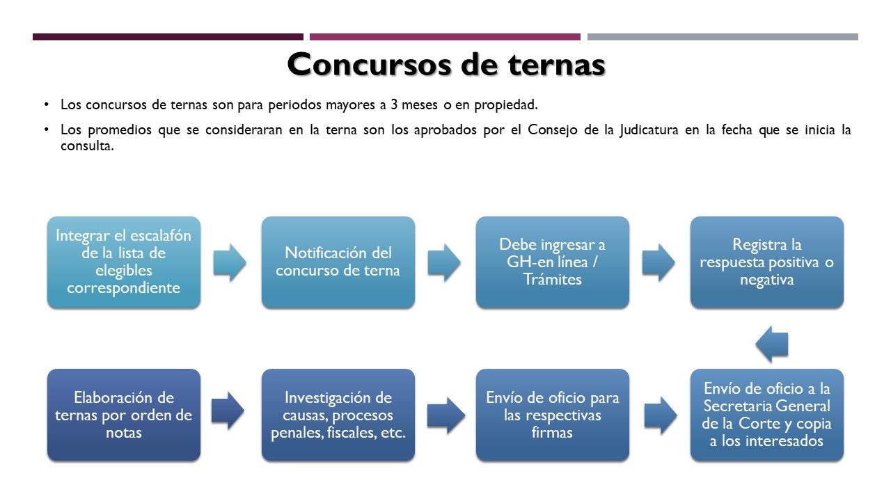 Infografía del proceso de los concursos de ternas.